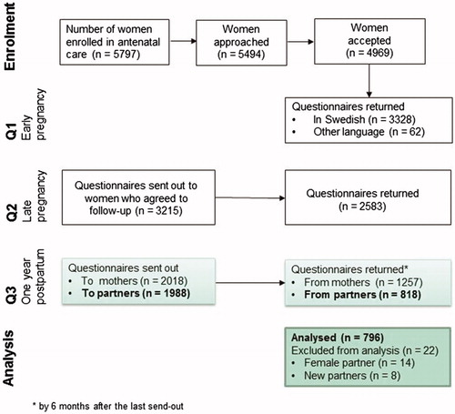 Figure 1. Flow chart of the study procedure.