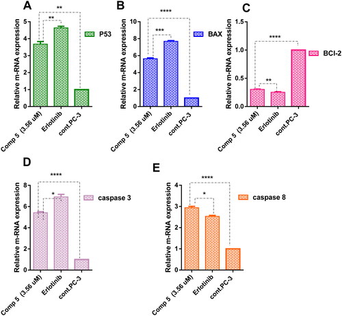 Figure 10. A graph represents the relative gene expression of (A) P53, (B) BAX, (C) BCl-2, (D) caspase 3, and (E) caspase 8 of compound 5 at its IC50 versus erlotinib and untreated PC-3. The data are expressed as mean ± SD (n = 3 experiment); statistical analysis was performed by two-way ANOVA followed by Tukey’s post hoc test with *significant at p > 0.05, **significant at p > 0.01, ***significant at p > 0.001, ****significant at p > 0.0001 and nsno significance.