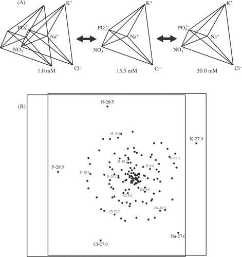Fig. 2. Two methods for visualizing the experimental design used in this study. (A) A 2-D perspective projection of a 4-D, 5-vertex pentatope projected across a total ion concentration (1–30 mM) dimension. Geometrically, there are no differences between the three pentatopes, but the total ion concentration that the proportions of ions in each pentatope sum to varies from left to right. (B) A 2-D, non-metric multidimensional scaling (MDS) plot of the 5-ion treatments chosen for this study. The symmetry of the 5-dimensional experimental design hypervolume remains visible even after collapsing the experimental design pentatope to two dimensions. Ion vertex points, type and concentration (mM), are indicated by the stars (N = and P = ). The stress of the 2-D MDS projection was 0.19.