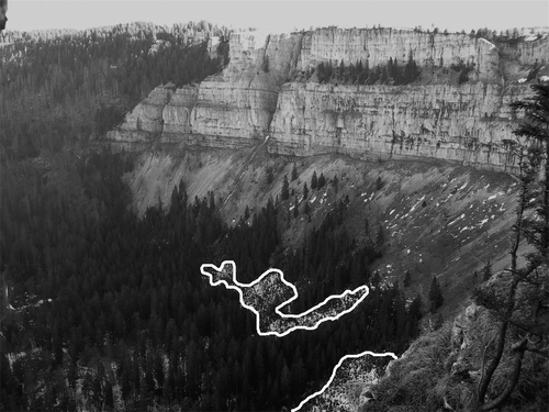 Figure 1 Permafrost pockets on the scree slope of the Creux du Van escarpment in the Swiss Jura Mts. The permafrost sites with dwarfed trees (encircled) are located at c. 1200 m a.s.l. within a tall montane spruce forest.