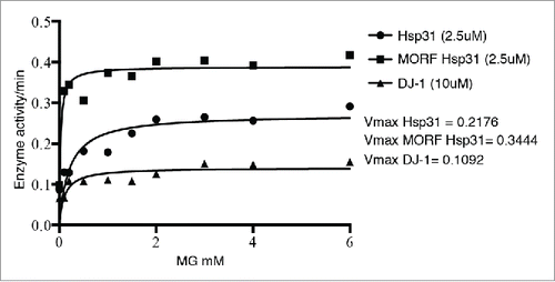 FIGURE 1. The hyperbolic plot of substrate concentration versus rate of D-lactate production by Hsp31 (circles), MORF Hsp31 (squares) and DJ-1 (triangles) are shown and the solid line represents the Michaelis-Menten best-fit model. The Vmax parameters were determined based on this model.