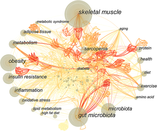 Figure 5 Keywords co-occurrence network of sarcopenia and microbiota research. The nodes are composed of tree rings that represent the frequency of the corresponding keyword over time. The links between the nodes represent the frequency of co-occurrence of the two corresponding keywords. The thicker the links, the more the frequency of the two keywords occurring together. The color of the links represented the corresponding time slices. The darker the color of the links was, the newer the keywords occurred in the publications.