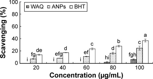 Figure 9 DPPH free radical scavenging potential of ANPs.Note: Different superscript letters indicate significant differences in the mean at P<0.05.Abbreviations: ANPs, gold nanoparticles; BHT, butylated hydroxyl toluene; DPPH, 1,1-diphenyl-2-picrylhydraxyl; WAQ, watermelon aqueous extract.