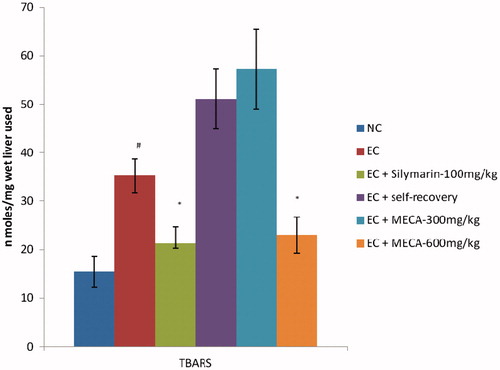 Figure 3. Effect of methanol extract of Cassia auriculata (MECA) roots on liver tissue TBARS levels in ethanol-induced hepatotoxic rats. N = 6; Values are mean ± SEM. NC: normal control, EC: ethanol control, TBARS: Thiobarbituric acid reactive substances. #p < 0.05, ##p < 0.01 as compared to normal control group. *p < 0.05 when compared to ethanol control group. Data analyzed by one-way ANOVA followed by Dunnet’s multiple test for comparison.