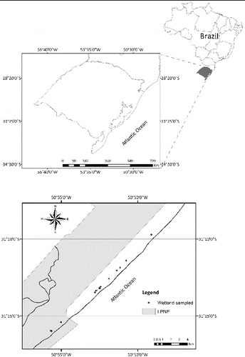 Figure 1. Wetlands sampled in the coastline of Lagoa do Peixe National Park (LPNP), Rio Grande do Sul State, Brazil.