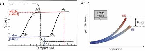 Figure 7. (a) Schematic of interlaced polymer and SMA hysteresis, enabling bistability. (b) Superimposed stable states (I) and (II) for comparison. The cross section of the trimorph layers (PMMA/TiNiHf/Si) is sketched.