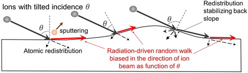 Figure 4. Illustration of the biased surface atom diffusion induced by ion beam after initial random roughening of the surfaced based on observations from the simulations.