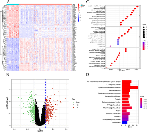 Figure 2 Screening of DEGs and enrichment analysis. (A) The heatmap of the top 50 DEGs; (B) the volcano plot of DEGs; (C) the bubble plot shows the top enriched results of DEGs from GO analysis; (D) The barplot shows the most enriched KEGG pathways of DEGs.