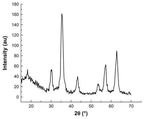 Figure S5 XRD pattern of MNPs.Abbreviations: XRD, X-ray diffraction; MNPs, magnetic nanoparticles.