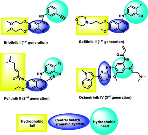 Figure 2. Some reported EGFR-TK inhibitors and their basic pharmacophoric features.