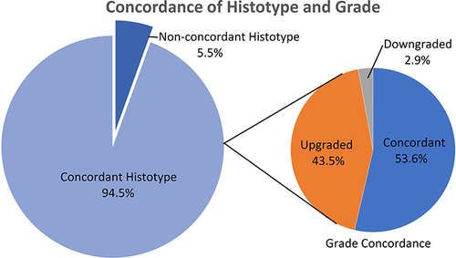Figure 1 Descriptions of positive biopsy and extirpative specimens grade concordance.