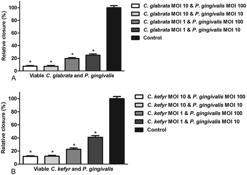 Figure 2. Relative closure (mean + SEM) of scratched oral epithelial cells exposed to different concentrations of viable C. glabrata (A) or C. kefyr (B) with P. gingivalis compared to control. Difference with control is considered significant if p < 0.05 and is marked with an asterisk.