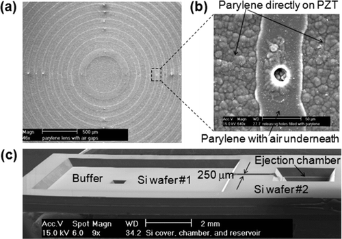 FIG. 4 SEM photographs of the fabricated device. (a) The acoustic lens on PZT substrate. (b) The release hole being filled with parylene. (c) The microfabricated buffer, microchannel, and ejection chamber, before bonded with the PZT ejector (upside-down view).