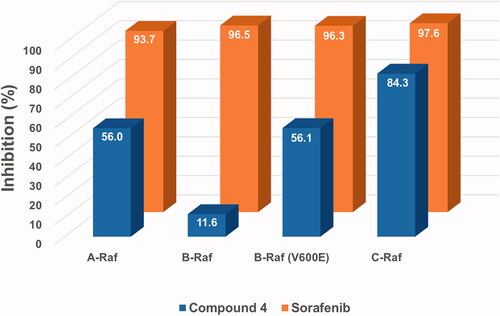 Figure 2. Inhibitory activities of compound 4 and sorafenib at a fixed concentration (1 μM) against four Raf kinases. The numbers in the bar-graphs are mean values obtained from two independent experiments performed by the Reaction Biology Corp. (Malvern, PA).