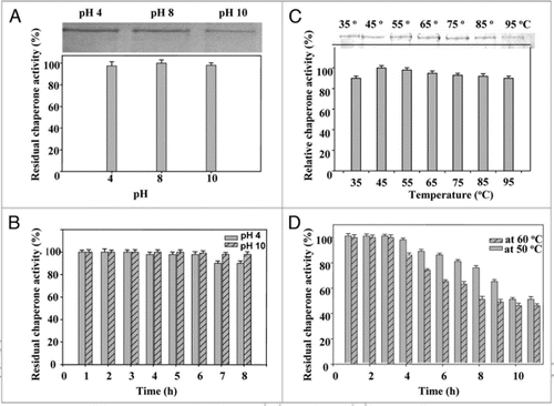 Figure 6 Effect of pH (A) on chaperone activity of PgHsp70; (B) on stability of PgHsp70, (C) effect of temperature on chaperone activity (experimental conditions as mentioned in Fig. 5), and (D) temperature stability of PgHsp70.