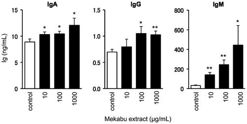 Fig. 1. Effect of Mekabu extract on Ig production by mouse spleen lymphocytes.Notes: Mekabu extract is water extract from U. pinnatifida. Mouse spleen lymphocytes were cultured for 72-h in the presence of the extracts (10, 100, 1000 μg/mL). After the cultivation, Ig contents in the culture media were measured by ELISA. Data are expressed as mean ± SE (n = 3). *p < 0.05, **p < 0.01 compared to the control by Student’s t-test. Experiments were repeated at least three times with similar results.