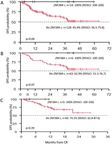 Figure 1. DFS of ZNF384-r vs non ZNF384-r cases. A. Estimated 24-months DFS of the whole cohort. B. Estimated 36-months DFS of patients enrolled in the GIMEMA LAL1913 trial. C. Estimated 12-months DFS of patients enrolled in the GIMEMA LAL2317 trial.