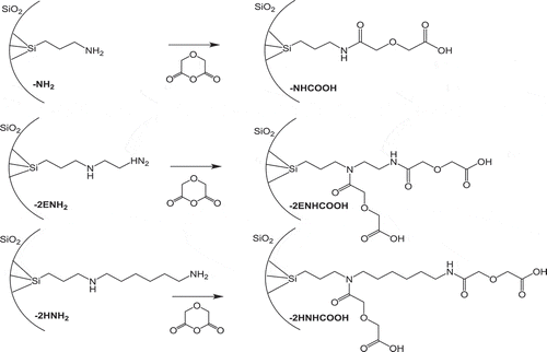 Scheme 1. Schematics of amino-functionalized mesoporous silica (MPS) materials employing (a) APTES (-NH2), (b) N-(2-aminoethyl)-3-aminopropyltriethoxysilane (-2ENH2) and (c) N-(6-aminohexyl)-3-aminopropyltrimethoxysilane (-2HNH2), followed by carboxyl-functionalized MPS materials employing diglycolic anhydride: (c) -NHCOOH, (d) -2ENHCOOH, and (e) -2HNHCOOH, respectively.