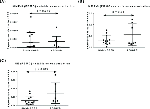 Figure 2. Expression of mRNA for (A) MMP-8, (B) MMP-9 mRNA, and (C) NE in PBMC from patients with stable COPD (n = 12) and patients with exacerbation of COPD (n = 7). Data represented as mean ± SD.