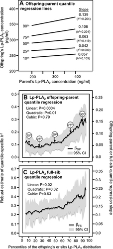 Figure 1 (A) Offspring-parent regression slopes (βOP) for selected quantiles of the offspring’s untransformed Lp-PLA2-mass concentrations with corresponding estimates of heritability (h2=2βOP/(1+rspouse)),11 where the correlation between spouses was rspouse=0.0525. The slopes became greater (ie, steeper) with increasing quantiles of the Lp-PLA2 distribution. (B) The selected quantile-specific regression slopes were included with those of other quantiles to create a quantile-specific heritability function. Significance of the linear, quadratic and cubic trends and the 95% confidence intervals (shaded region) were determined by 1000 bootstrap samples. (C) Quantile-specific full-sib regression slopes (βFS) with corresponding estimates of heritability as calculated by h2={(8rspouseβFS+1)0.5–1}/(2rspouse).Citation11