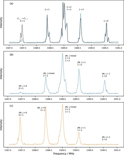 Figure 7. Spectra recorded by stepping 30μs single frequency pulses, starting at 1587.050MHz and ending at 1591.050MHz with step size of 10kHz. Signal recorded on the 11− (11+) REMPI resonance in orange (blue). Each peak is labelled by the F1 quantum numbers of the initial and final states involved in the transition. (a) 100 samples per step. Spectrum recorded with Stark decelerator in normal operation together with prediction (black) using the von Neumann equation at a power of −6 dBm for the inside antenna (corresponding to a power density of 0.0126W/m2). (b) 50 samples per step. Spectrum recorded with extended fringe field of the Stark decelerator and using the outside antenna radiating through a glass view-port into the machine at 20dBm (about 0.025W/m2). (c) 50 samples per step. Spectrum recorded using a first pump pulse (CP_CROSS in Table 1) with the inside antenna at 30dBm in the fringe field between the end of the Stark decelerator and the deflector electrodes, followed by a probe pulse at 0.025W/m2 after the molecules passed the deflector. In (b) and (c) each peak is additionally labelled with |MJ| to show the high-field behaviour of the initial state's population (see Figure 5).