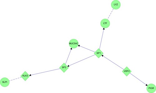 Figure 14 MUC5AC and glandular serous cell proteins LYZ, LTF, SLPI and PIGR in healthy smokers (HS).