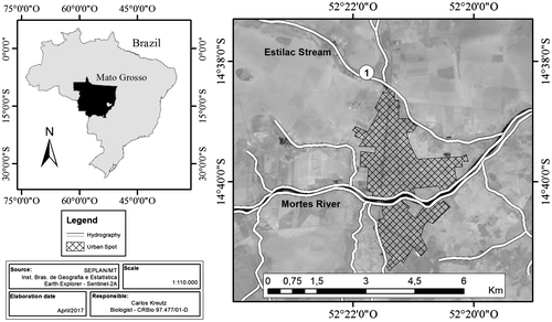 Figure 1. Collecting locality of the specimen of Vampyrum spectrum, in the municipality of Nova Xavantina, Mato Grosso, Brazil.