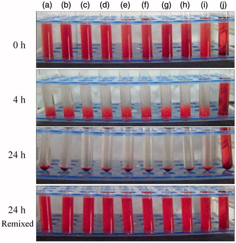 Figure 7. Visual observation of hemolysis caused by hm-BSP-C18 at preset time intervals with different concentrations (mg/mL): (a) 0.2, (b) 0.4, (c) 0.6, (d) 0.8, (e) 1.0, (f) 1.5, (g) 2.0, (h) 4.0, (i) normal saline (negative control), and (j) distilled water (positive control).