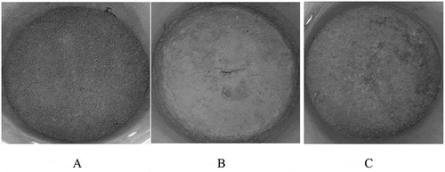 Figure 1. Pictures of the surface of soil columns in the beginning of the period and before applying irrigation treatments (a), the treatment of intermittent irrigation after 10 irrigations with water of poor quality (b) and the treatment of daily irrigation after 10 irrigations with water of poor quality (c)