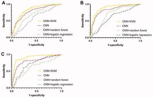 Figure 6. Comparison of receiver operating characteristic (ROC) curves among CNN, CNN + SVM, CNN + random forest and CNN + logistic regression. (A) ROC curve for classifying significant fibrosis (≥F2); (B) ROC curve for classifying advanced fibrosis (≥F3); (C) ROC curve for classifying cirrhosis (F4).