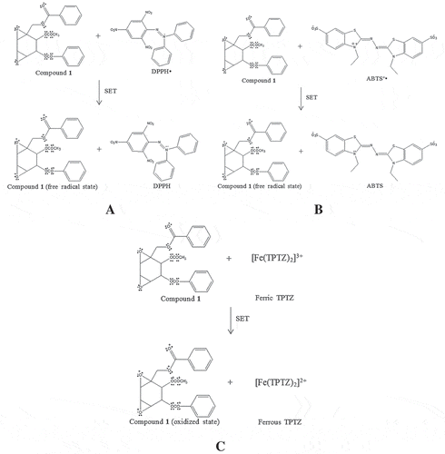 Figure 5. The proposed chemical reaction of boesenboxide (1) in antioxidant assays: DPPH (A), ABTS (B), and FRAP (C) via SET mechanism.
