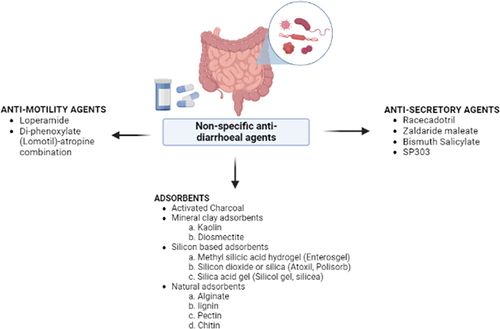 Figure 3. Non-specific anti-diarrhoeal agents (Figure created by BioRender.com).