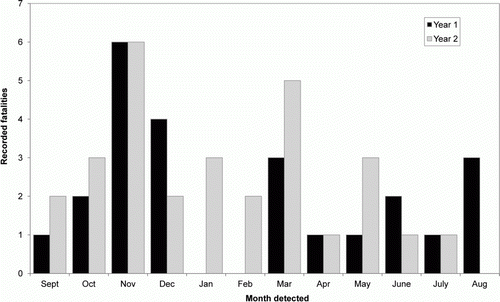 Figure 3  Monthly detections of avian carcasses at Project West Wind during years 1 and 2 post-construction mortality searches.