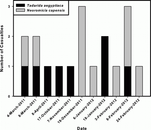 Figure 1  Number of bat casualties found at the pilot turbine, Coega Industrial Development Zone between March 2011 and March 2012.