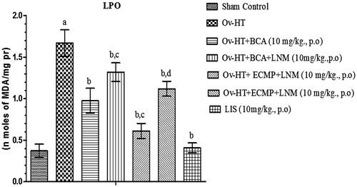 Figure 8. Effect of pharmacological intervention on lipid peroxidation in ovariectomized hypertensive rats.