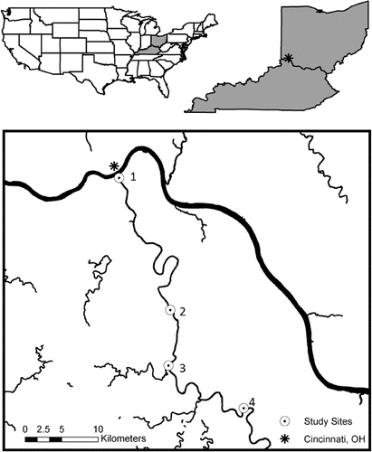 Figure 1. Map of study area including the four sample sites along the Licking River, KY with site 1 in the most urban area.