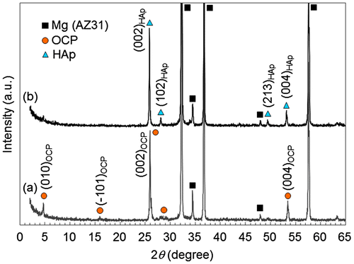 Figure 2. XRD patterns of OCP- and HAp-coated AZ31 alloy disks formed at (a) pH 6.1 and (b) pH 8.9, respectively. High relative intensities of (002) and (004) peaks indicates the preferential orientation of (002) planes of OCP and HAp crystals parallel to the substrate surface.