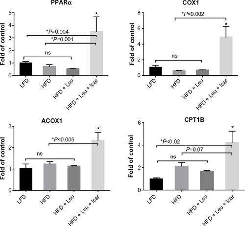 Figure 8 Leu and Icar combination promotes muscle fatty acid oxidation in DIO-mice.