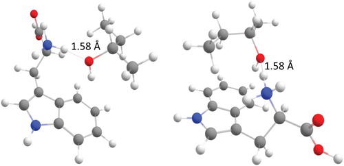 Figure 3. The most stable structures calculated at the B3LYP-D3/6-311++G** for homo-chiral (left) and hetero-chiral (right), proton bound adduct of TrpH+/(S)-2-butanol.