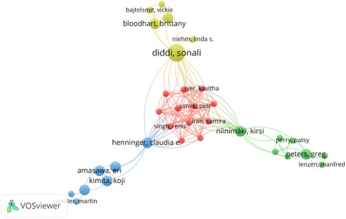 Figure 3. Cluster visualization of authors in the fast fashion and environmental impact field.
