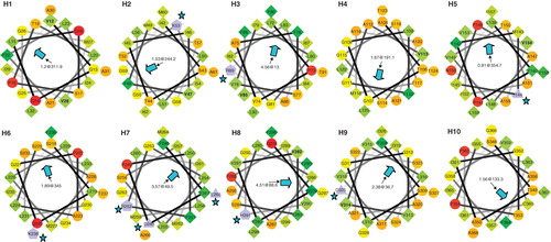 Figure 6. Alpha-helical wheel projections of the ten TMH helices from SbtA-6803. The N-terminal residue in each helix is located at 12 o'clock position each following residue precedes 100° clockwise. A central arrowhead indicates the face with the highest hydrophobic moment (HM); charge residues are highlighted with a star symbol. Hydrophilic (circles), hydrophobic (diamonds), negatively charged (triangles) and positively charged (pentagons) residues are shown. This Figure is reproduced in colour in the online version of Molecular Membrane Biology.
