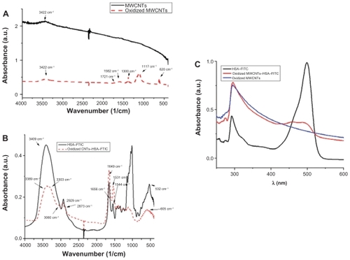 Figure 2 FTIR spectra of A) pristine MWCNTs (black) and oxidized MWCNTs (red); B) HSA–FITC (black) and HSA–FITC-coated oxidized MWCNTs (red); C) UV–Vis adsorption spectra of HSA–FITC (black), oxidized MWCNTs (blue), oxidized MWCNTs–HSA–FITC (red).Abbreviations: FITC, fluorescein isothiocyanate; FTIR, Fourier transform infrared; HSA, human serum albumin; MWCNTs, multiwalled carbon nanotubes.