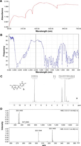 Figure 2 Characterization of isolated compound of Ocimum sanctum (quercetol) by (A) UV spectra, (B) FTIR spectra, (C) (a) NMR spectra, (b) structure of quercetol, and (D) mass spectra.