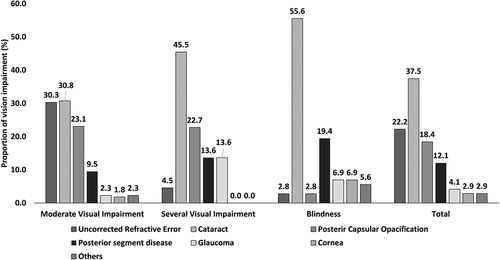 Figure 1. Distribution of the causes of vision impairment (n = 315) among the elderly living in a Home for the Aged.