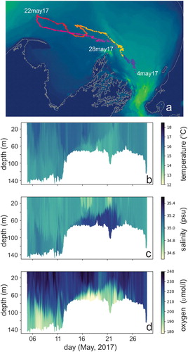 Figure 15. Ocean glider data from May 2017 in the Western Greater Cook Strait region showing (A) track over 24-day period, (B) temperature, (C) salinity and (D) dissolved oxygen (O'Callaghan, unpublished data).
