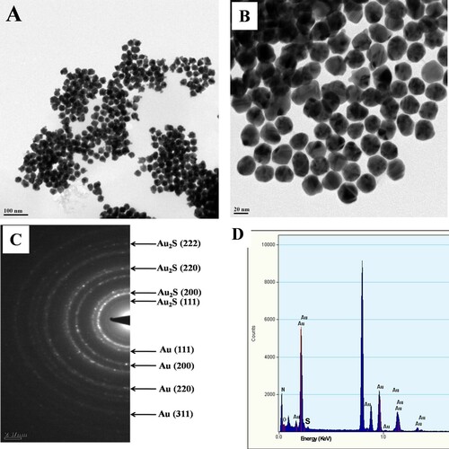 Figure 2. (A,B) TEM micrograph for Au2S nanoparticles, (C) SAED pattern, and (D) EDAX analysis.