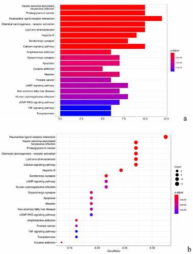 Figure 7. KEGG analysis of common targets. (a) Histogram of KEGG pathways between BX-YYR and insomnia predicted the top 10 targets. (b) Bubble diagram of the top 10 KEGG pathways between BX-YYR and insomnia predicted target top10.