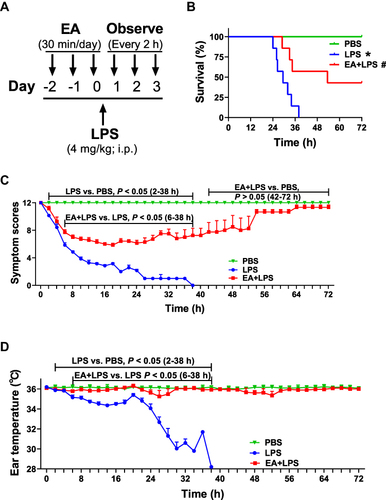 Figure 1 Survival, symptom scores and ear temperature in mice. (A) 8-week-old BALB/c mice with or without EA (30 min/day for 3 days, 0.1 mA, 10 Hz) and then injected LPS (4 mg/kg; i.p.) or PBS. (B) Survival is represented in a Kaplan-Meier graph. (n = 7/group, *P < 0.05, compared to PBS control mice; #P < 0.05, compared to endotoxemic mice.) (C) Scoring every 2 h according to the symptom scoring system in Supplementary Table 1. (D) Mouse ear temperature was measured every 2 h using an ear thermometer.