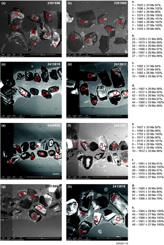 Figure 12. Representative cathodoluminesence images for zircons from samples of the Radium Ridge Breccia: (a) 2381596; (b) 2381600; (c) 2413916; (d) 2413917; (e) 2430629; (f) 2381597; (g) 2381598; (h) 2413919.