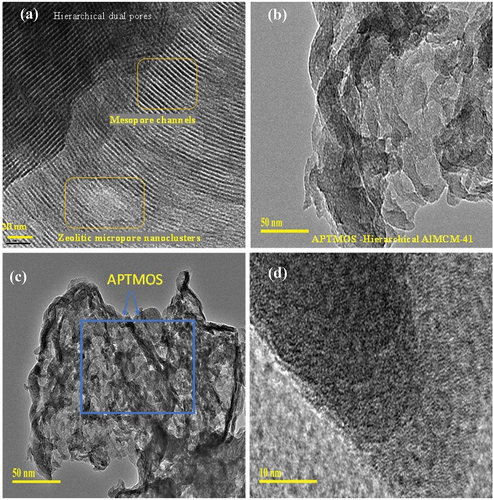 Figure 4. (a–d) Transmission electron microscope images depicting morphology of (a) HAS and (b–d) APTMOS-HAS.